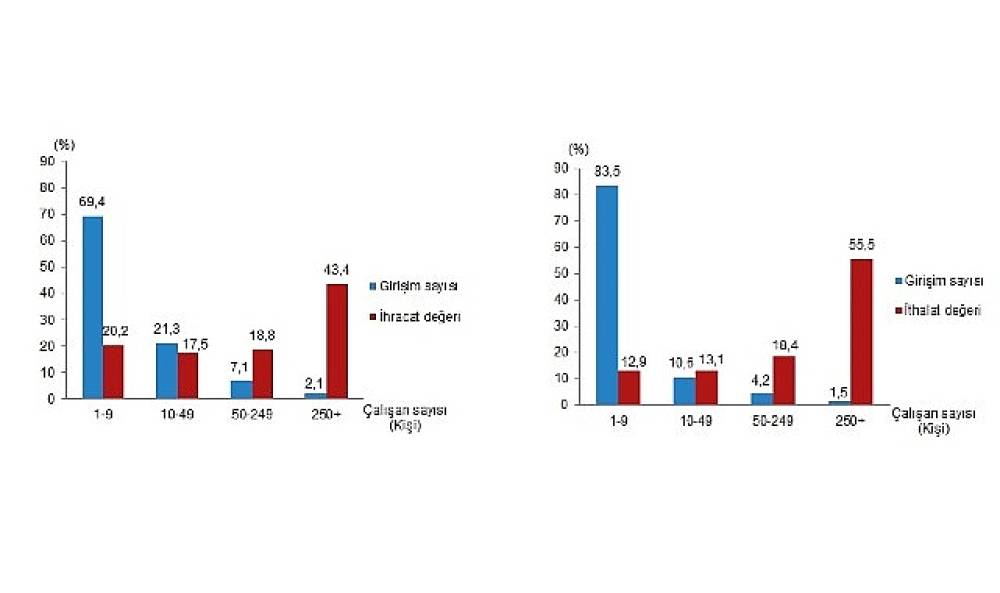 Tüik: İhracatın %43,4'ünü, ithalatın ise %55,5'ini büyük ölçekli girişimler gerçekleştirdi