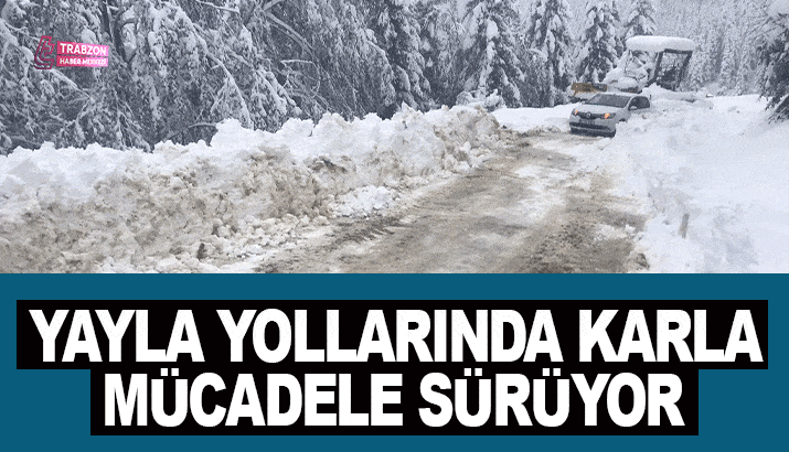 Trabzon'da yayla yollarında karla mücadele sürüyor