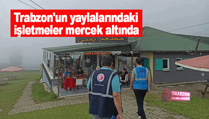 Trabzon'un yaylalarındaki işletmeler mercek altında